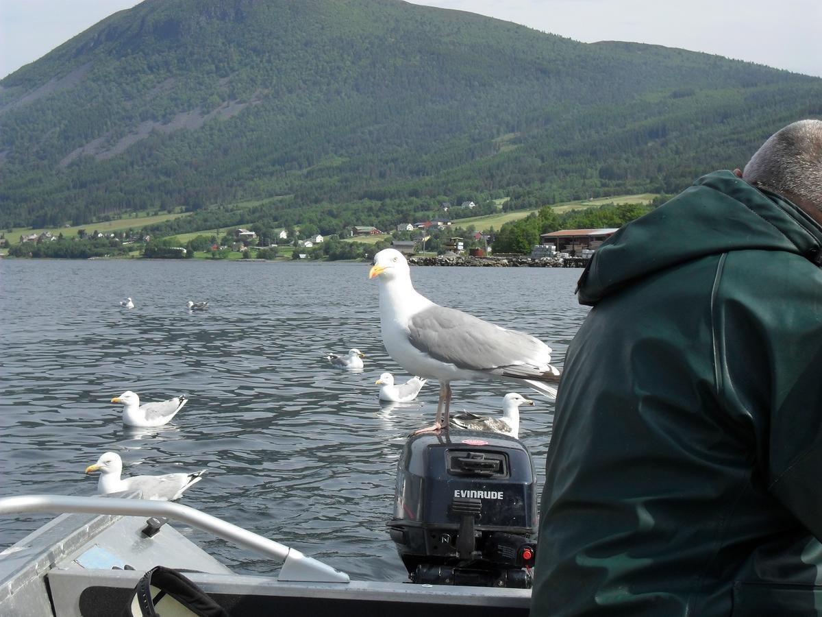 Fagervik Camping Tresfjord Экстерьер фото